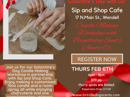 Galentine s Day Candle Making Class For Sale