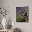 Owl Canvas Stretched Discount