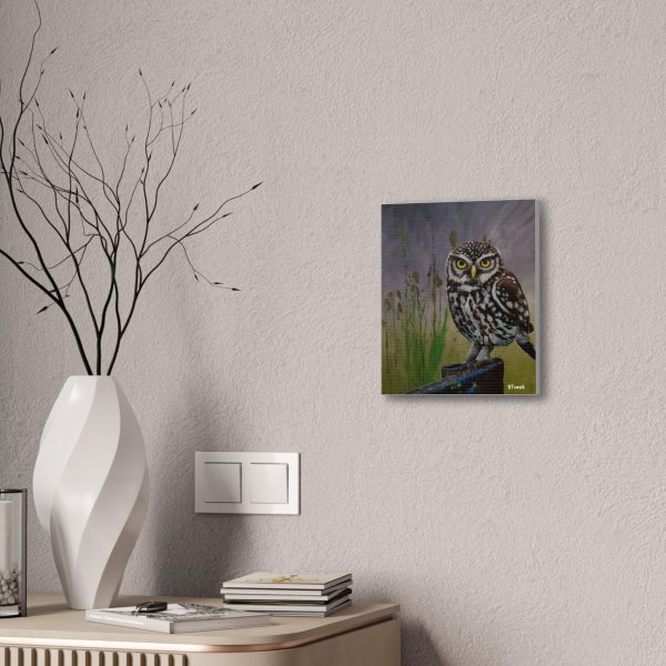 Owl Canvas Stretched Discount