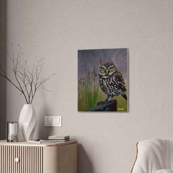 Owl Canvas Stretched Discount