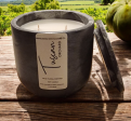 Tuscan Orchard 9oz Fig & Floral Scented- Midnight Silver Series Online Hot Sale