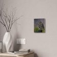 Owl Canvas Stretched Discount