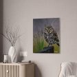 Owl Canvas Stretched Discount