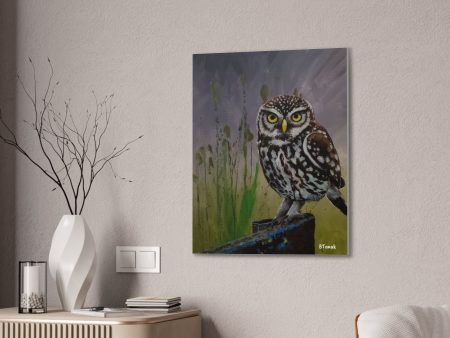 Owl Canvas Stretched Discount