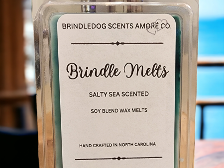 Brindle Melts 2.5 oz Soy Wax Melts Salty Sea Scented Discount