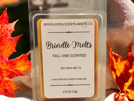 Brindle Melts 2.5 oz Soy Wax Melts Fall Vibe Scented For Sale