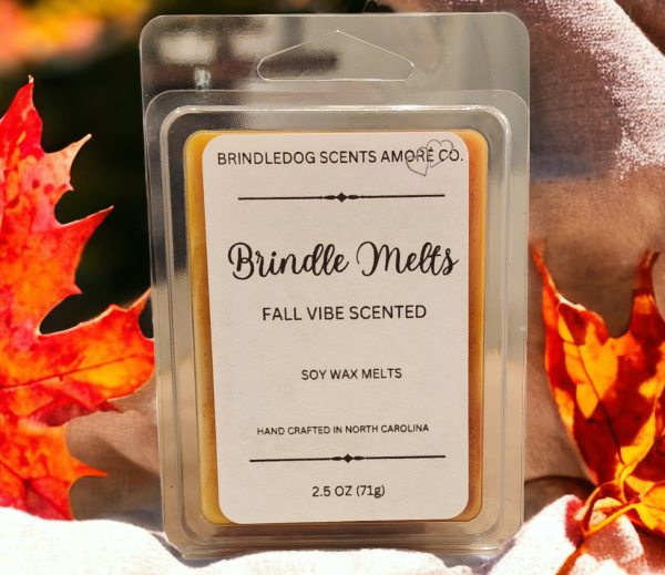 Brindle Melts 2.5 oz Soy Wax Melts Fall Vibe Scented For Sale