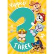 Paw Patrol Age 3 Birthday Card For Cheap