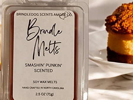 Brindle Melts 2.5 oz Soy Wax Melts Smashin  Punkin  Cheap