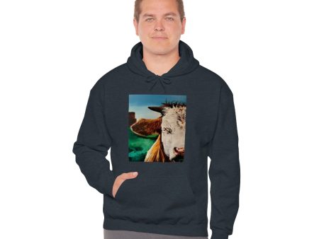 A Bunch of Bull Unisex Heavy Blend™ Hooded Sweatshirt For Cheap