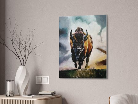 Buffalo stretched canvas, .75  Online Sale