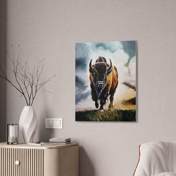 Buffalo stretched canvas, .75  Online Sale